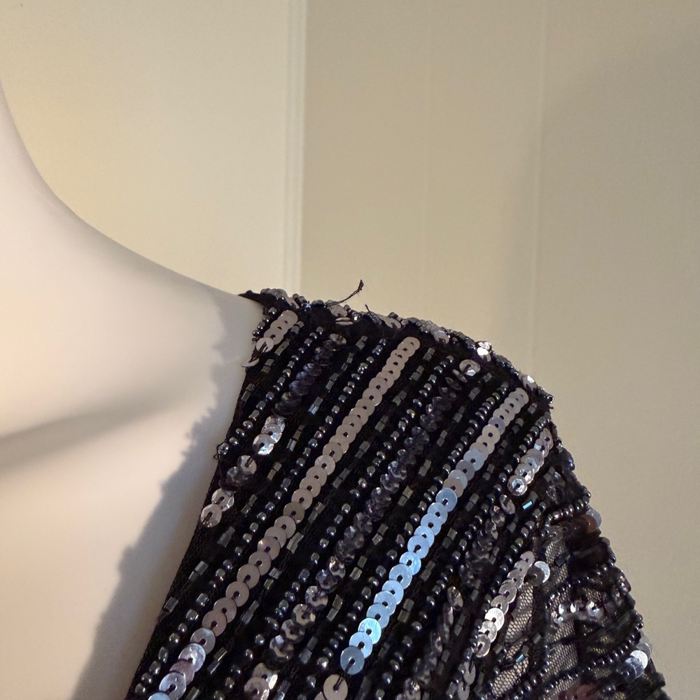 Adrianna Papell, 12, EUC, Sequins, Formal, Evening, V Neck, Flutter Sleeve Gown - Picture 6 of 8